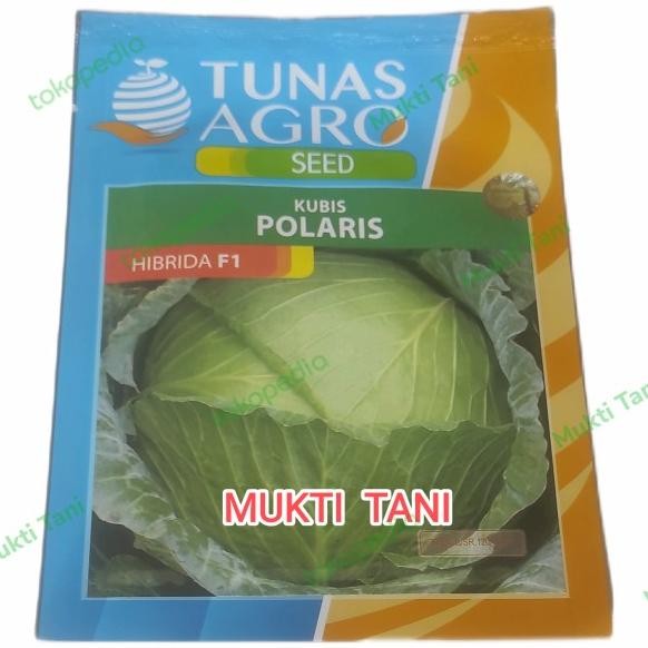 Benih Kubis F1 Polaris 10 Gr | Bibit Kubis Hibrida Tunas Agro