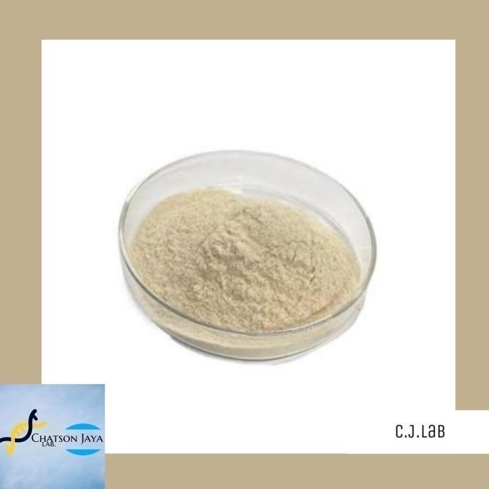 Enzim Diastase 40 Gram/ Amylase Enzyme Powder/ Diastase