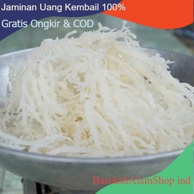 

Terlaris Rumput Laut Agar 1kg-Laut Basah Siap Olah untuk bahan ice campur 1kg SALE