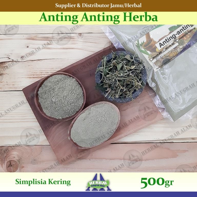 Herba Anting Anting (Kering) 500Gr | Acalypha Indica | Lateng Putih - 100% Murni #Herbal