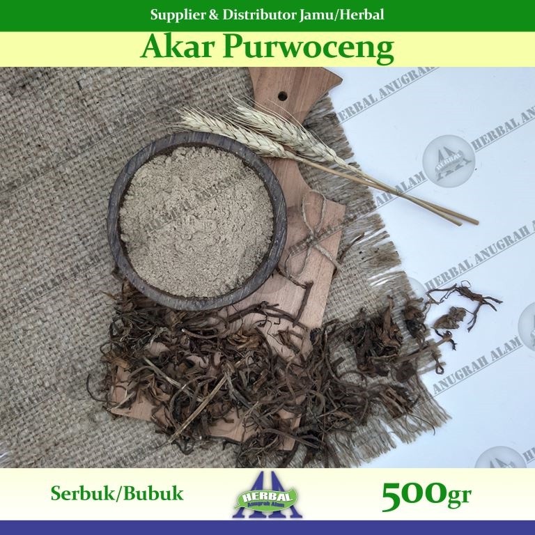 Akar Purwoceng (Bubuk) 500Gr - 100% Murni #Herbal
