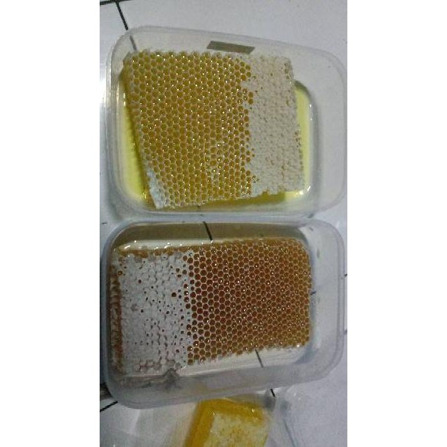 

10.10 Grosir Paket Hemat Kemasan 1 Kg Madu Sarang Sarang Madu Melifera Honeycomb Madu Liar Madu Asli Madu High Quality