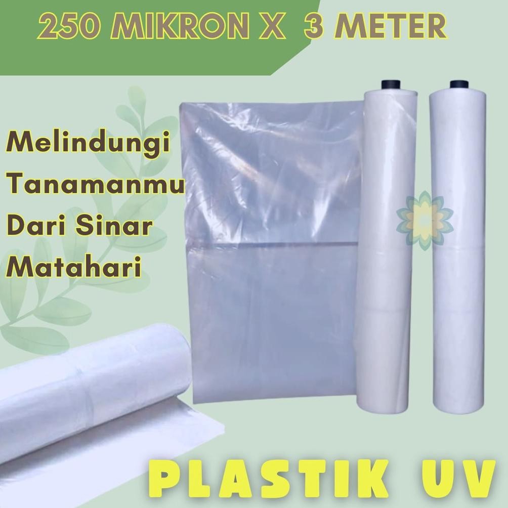 Hot Gratis Plastik Uv 250 Micron Lebar 3 Meter 14% Plastik Uv Green House Ty-35