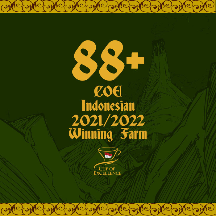 

Ribang Gayo Musara - Hollow Musara - Biji Kopi Arabika
