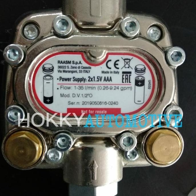 Raasm Digital Meters Gun For Oil Max Flow Rate 35L/Min 1/2"G Italy