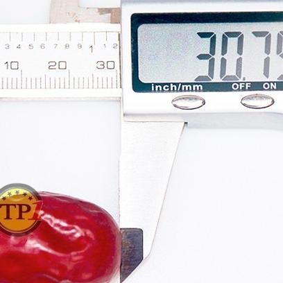 

Ter 500Gr!!! / Angco Ang Co/Hongzao Hong Zao Kurma Qulitas