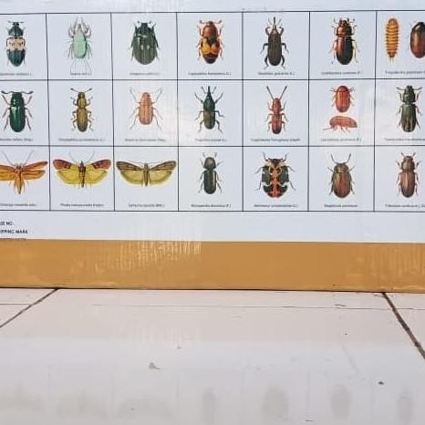 Obat Fumigasi Hama Gudang, Kutu Jagung, Kutu Beras Phostek 56