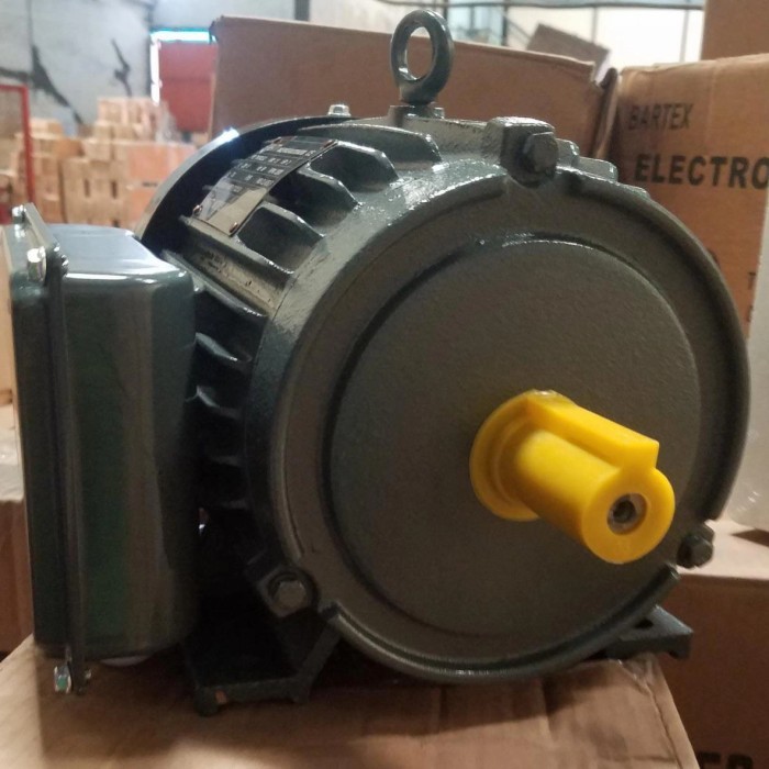 DINAMO ELEKTRO MOTOR 3 HP 3 PK 1 PHASE 1 FASE 2800 RPM ORSATTI TAIWAN