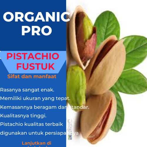 

PISTACHIO ,KACANG PISTACHIO 1kg , FUSTUK 1KG