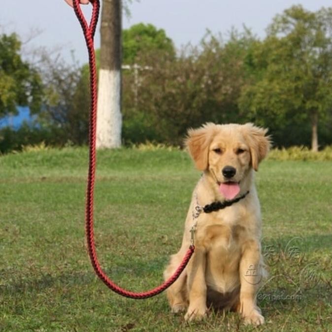 TALI RANTAI ANJING BESAR / dog leash / kuat tebal HS7