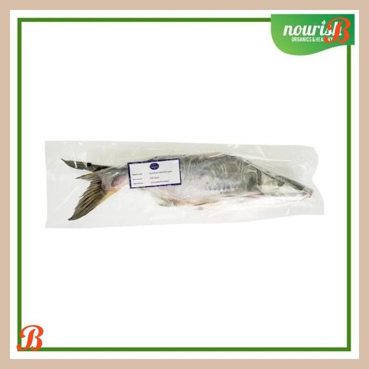 

| NN | IKAN PATIN UTUH FROZEN 500GR