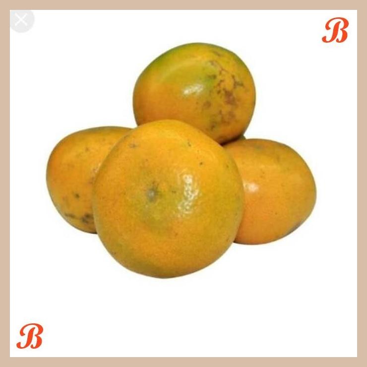 

| NN | JERUK MEDAN 1KG