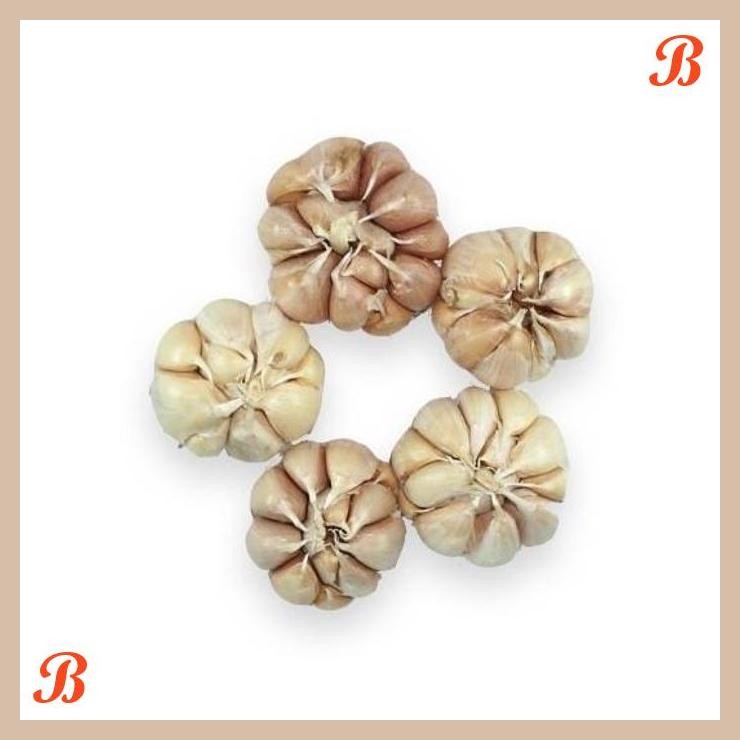 

| NN | BAWANG PUTIH NATURAL 500GR