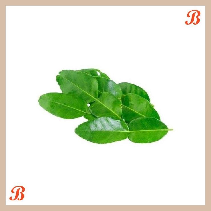 

| NN | DAUN JERUK ORGANIK 100GR