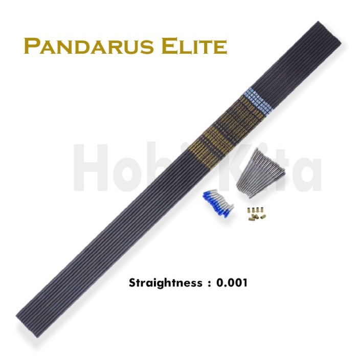 Anak Panah Arrow Carbon Hybrid Pandarus Elite X10