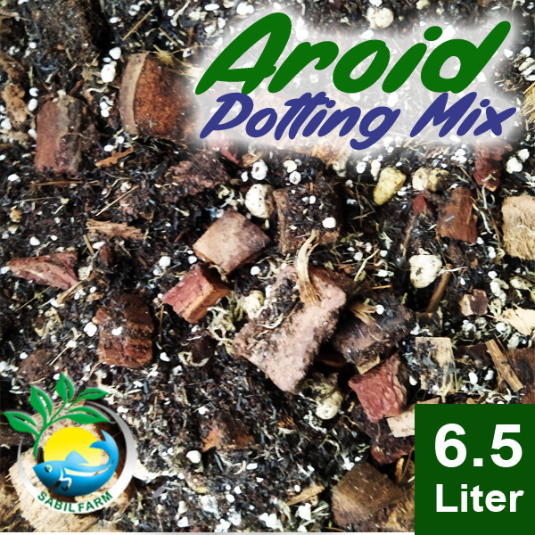 AROID POTTING MIX PREMIUM - CHUNKY MIX UNTUK SEMUA JENIS AROID
