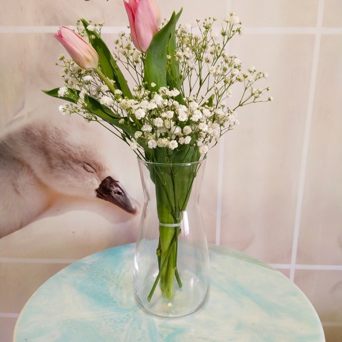 VAS KACA TINGGI 20 CM / VAS BUNGA KACA