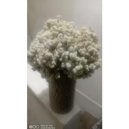 1VAS/POT BUNGA ABADI/ BUNGA EDELWEIS