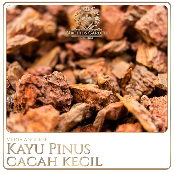 MEDIA ANGGREK CACAH KECIL POT ANGGREK POTONGAN KAYU PINUS CACAH 1 KG
