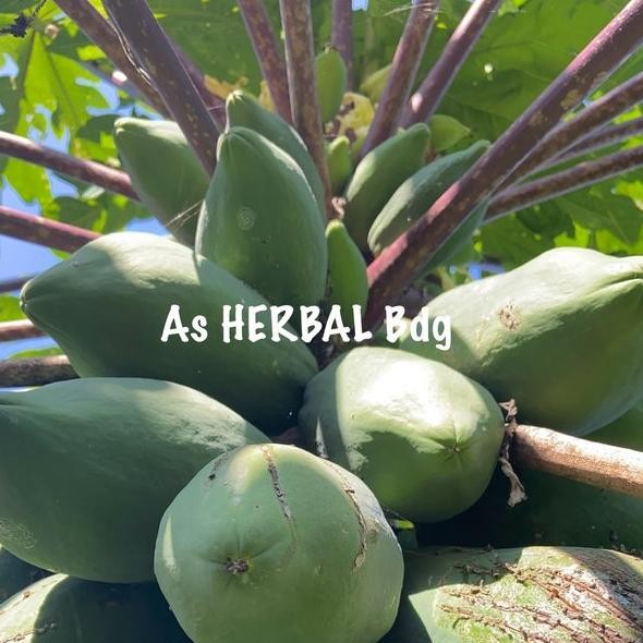 

Buah pepaya ungu pepaya wulung muda 500 gram segar *