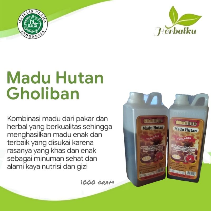 

madu hutan gholiban 1 kilogram madu asli kalimantan
