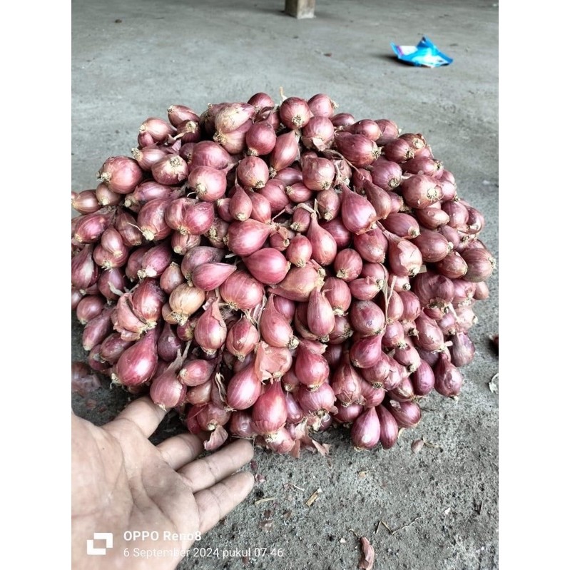 

bawang