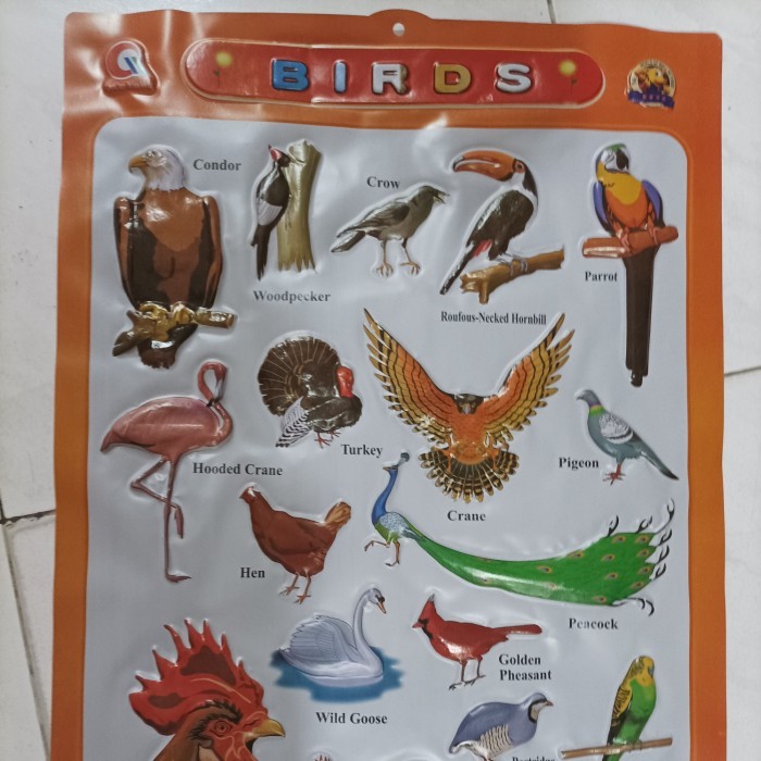 

best produk] poster plastik timbul hewan burung bintang dll