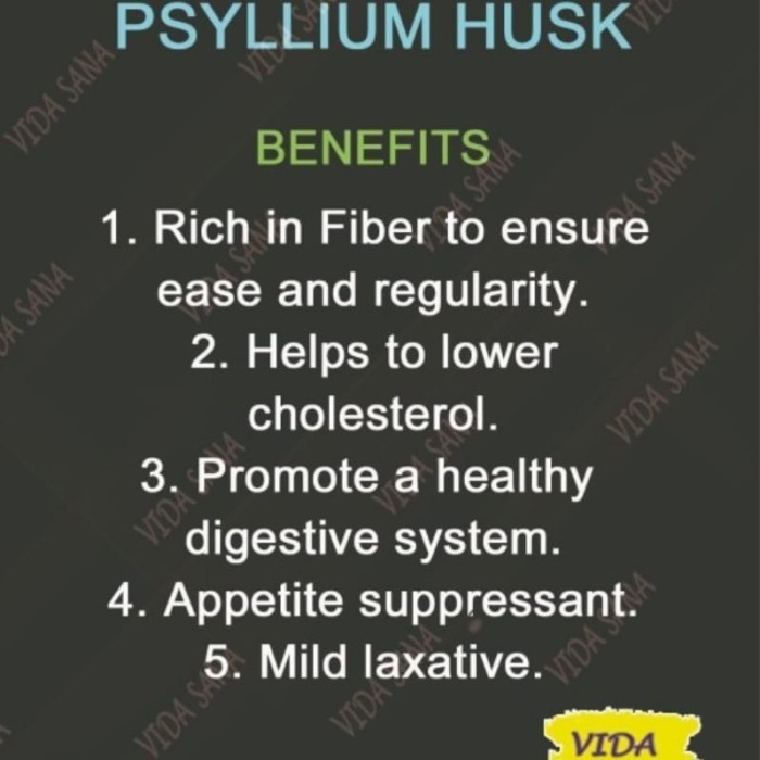 

Psyllium Husk Kasar Organic 500Gr Diskon
