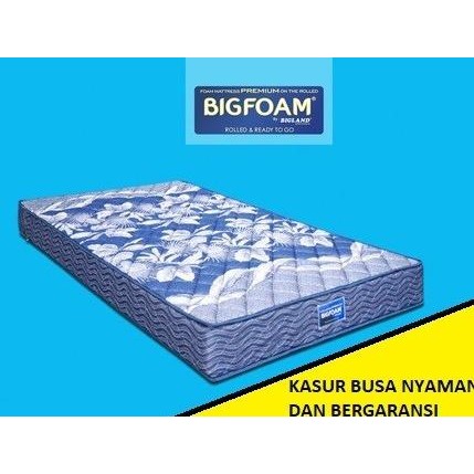 Kasur busa BIG FOAM uk 120 x 200