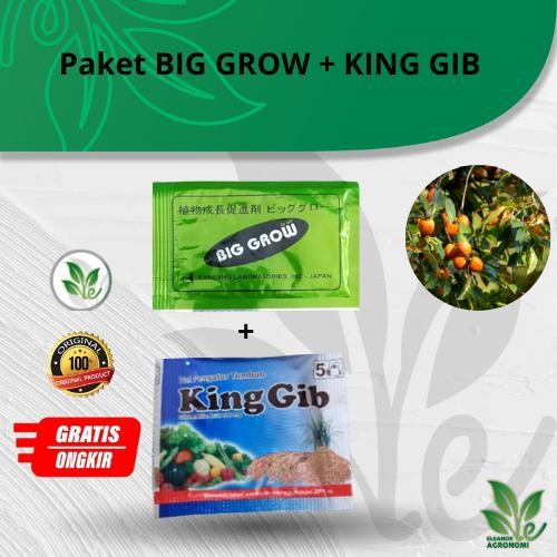Paket BIG GROW BIGGROW dan KINGGIB KING GIB PEMBESAR BUAH NAGA Hewan