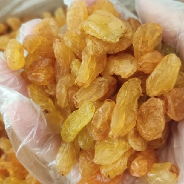 

Kiss Golden Raisin 1Kg