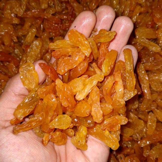 

Kiss Arab Manis 1 Kg Golden Raisin Long/Kiss Arab/Kiss