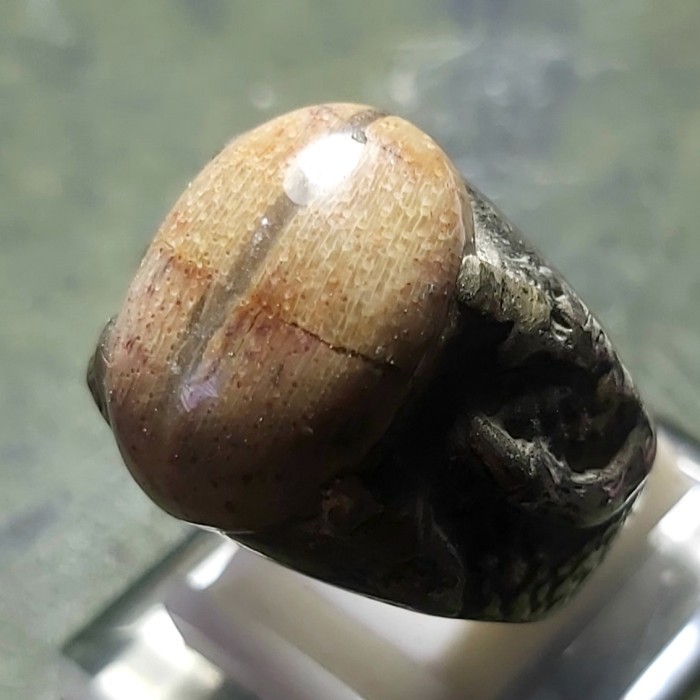 Fosil Kelor Kendit - Cincin Batu Akik 03 New