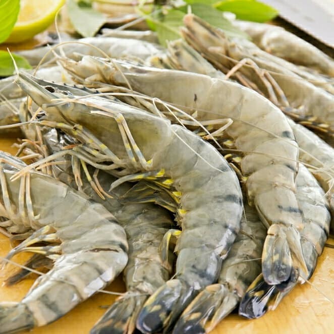 

Essence - Flavour Udang 1000Gr