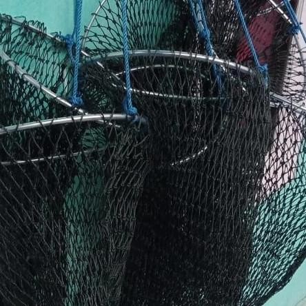 Korang Ikan Bahan Jaring Pe