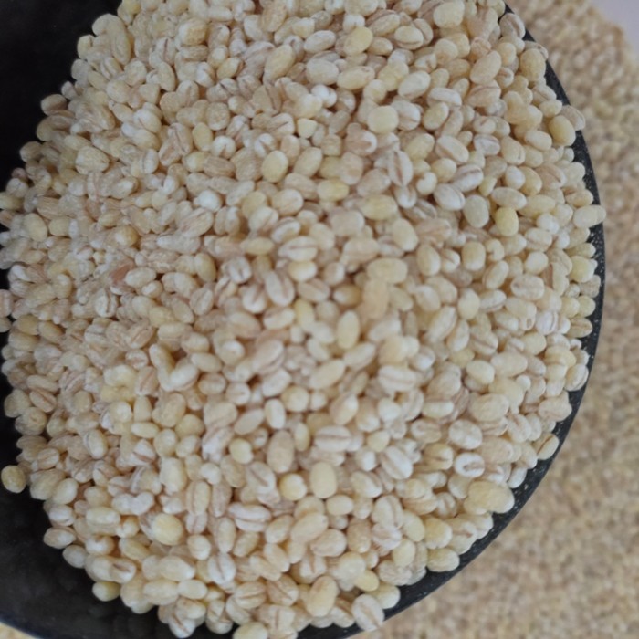 

25Kg Barley - Biji Jali - Jali - Wajib Gosend/ Grab Instan Terlaris
