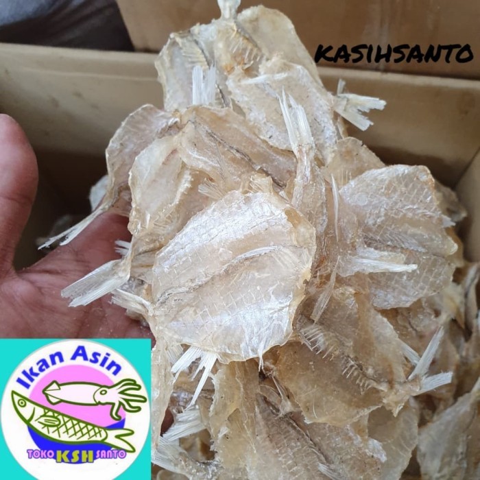 

Ikan Asin Kapasan Tanpa Tulang-1Kg Terbaru