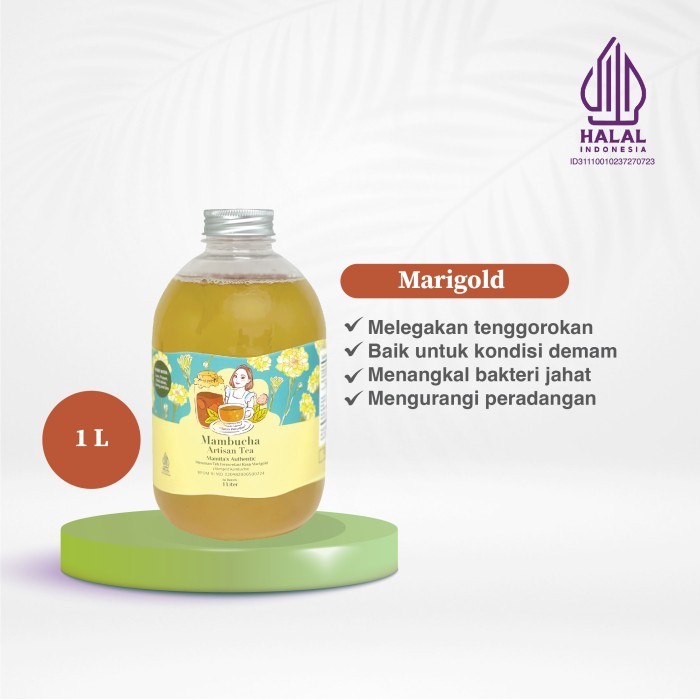 

Kombucha Marigold Mambucha 1 Liter Terbaik