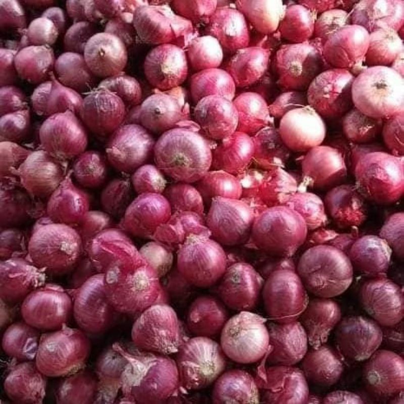 

Bawang Merah 500 gr dan 1 kg ukuran sedang