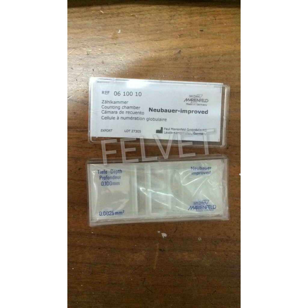 Promo Counting Chamber / Kamar Hitung Superior