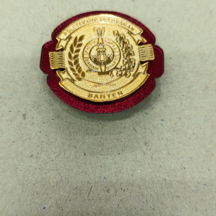 PIN POLTEKPEL BANTEN WINGS POLTEKPEL BANTEN ASLI