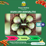 

Terong Lalapan - PSC. Lampung