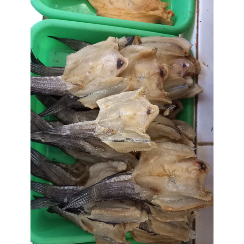 

Ikan asin gabus sedang 250 gr