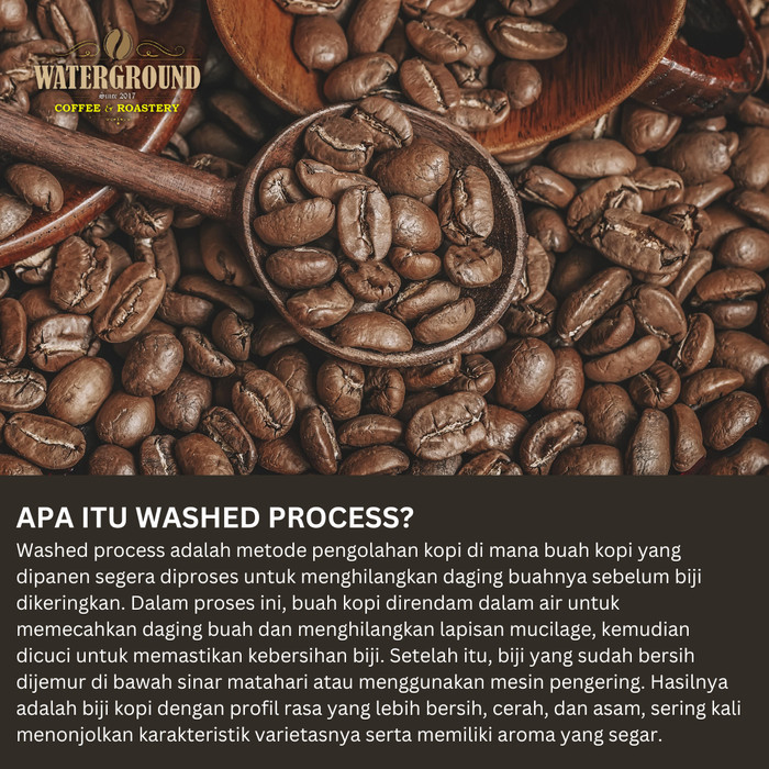 

Kopi Arabika Toraja Sapan 1 Kg (Biji/Bubuk) Arabica Coffee Beans