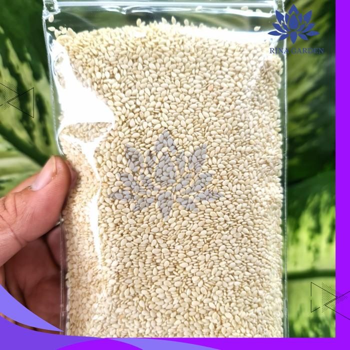 

BIJI WIJEN PUTIH 100GR KUALITAS BAGUS - WHITE SESAME SEEDS DIJAMIN GRATIS ONGKIR