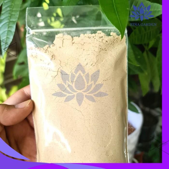 

BUBUK KENCUR 100GR GRADE A - ORIGINAL TANPA CAMPURAN PRODUK PILIHAN