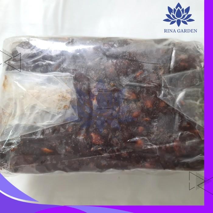 

ASAM JAWA TANPA BIJI 1KG - ASAM JAWA KUPAS TANPA BIJI DIJAMIN GRATIS ONGKIR