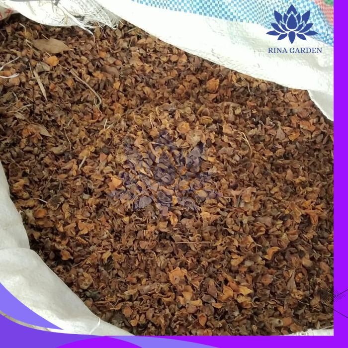 

BUNGA PUSPA KERING 500GR PRODUK TERBAIK