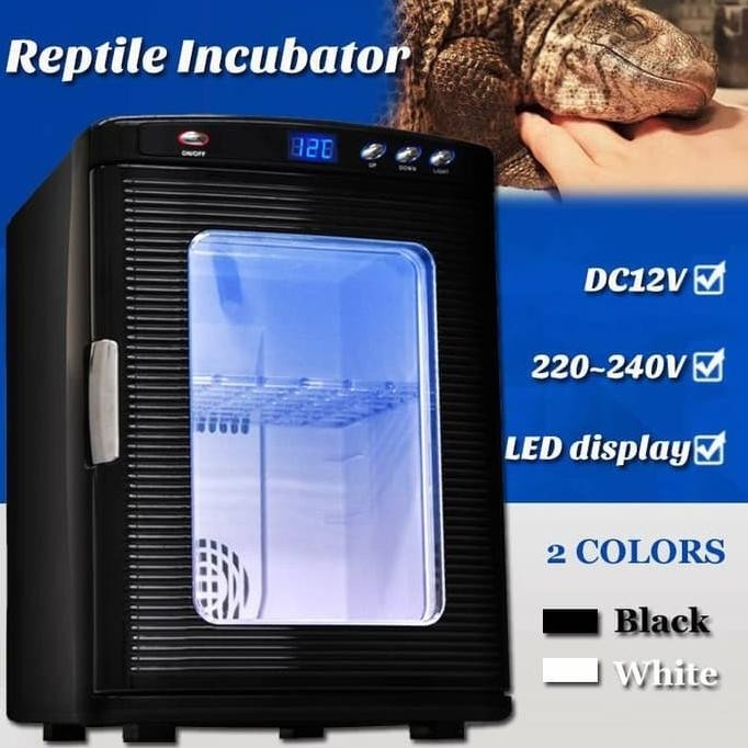 Reptile Incubator Inkubator Reptil Kura Kura Egg Incubator Chiller Kue