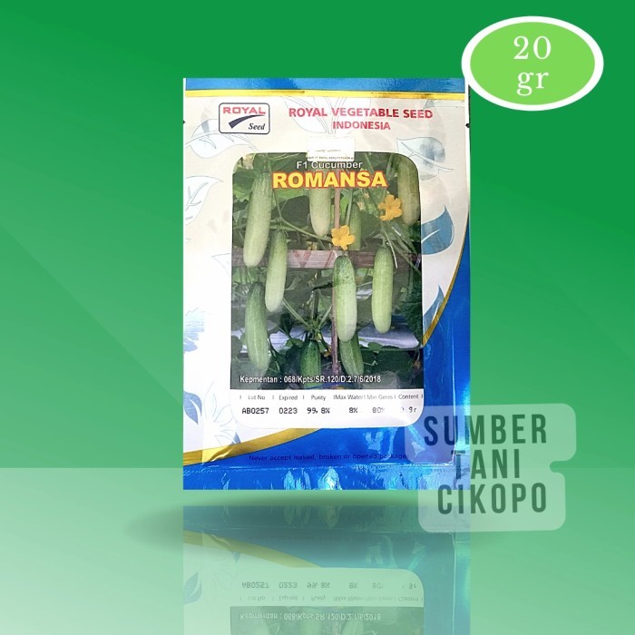 Benih Timun Lalap F1 Romansa 20Gram Royal Seed -Gratisongkir